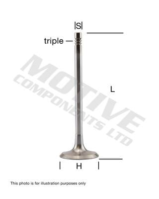 Motive Components IV6237 Intake valve IV6237