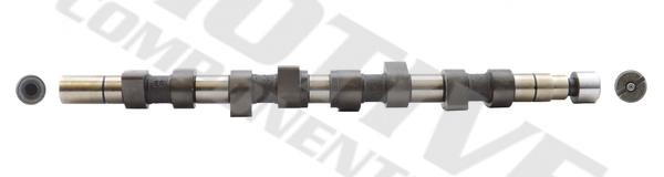 Camshaft Renault 19: T1025 Motive Components Camshaft