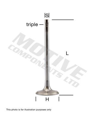 Engine exhaust valve Ford Fiesta: EV5535 Motive Components Exhaust valve
