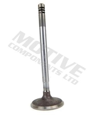 Motive Components IV5419 Intake valve IV5419