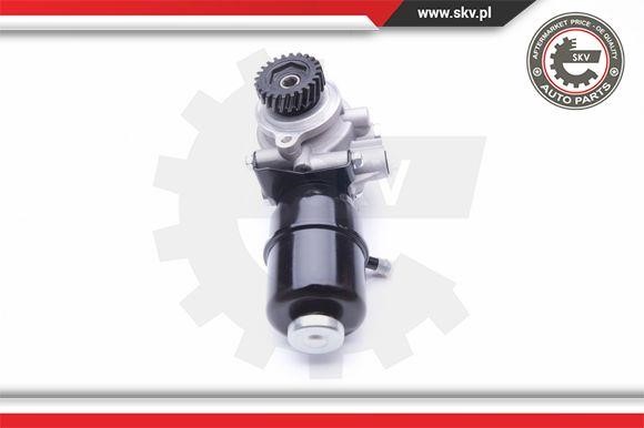 Hydraulic Pump, steering system Esen SKV 10SKV274