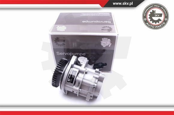 Esen SKV 10SKV289 Hydraulic Pump, steering system 10SKV289
