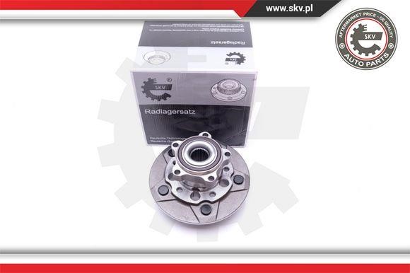Esen SKV 29SKV283 Wheel bearing kit 29SKV283