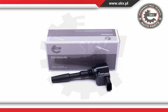 03SKV287 Esen SKV Ignition coil