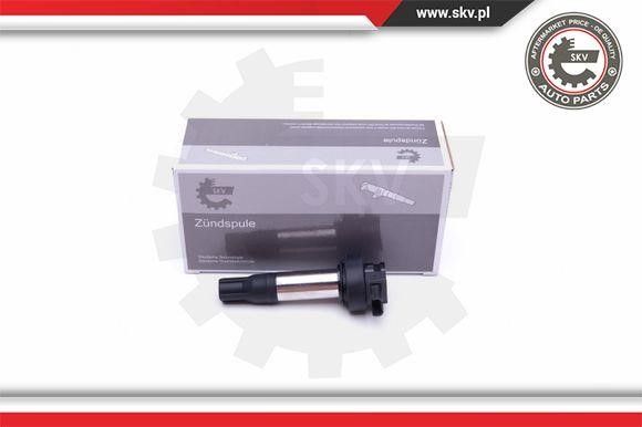 03SKV293 Esen SKV Ignition coil