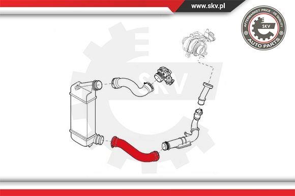 Buy Esen SKV 43SKV081 at a low price in United Arab Emirates!
