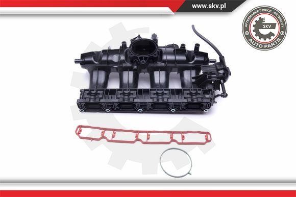 Intake Manifold Module Esen SKV 49SKV003