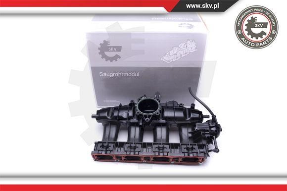 Esen SKV 49SKV003 Intake Manifold Module 49SKV003 49SKV003 Esen SKV Intake Manifold Module