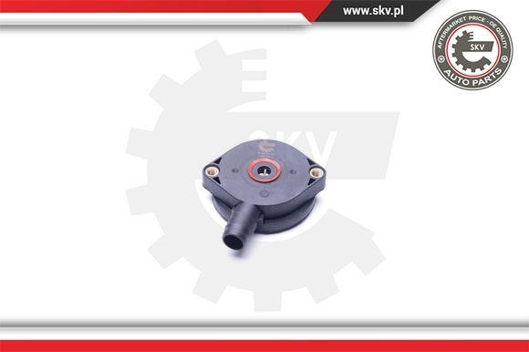 Valve, engine block breather Esen SKV 31SKV064