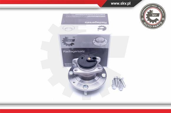 Esen SKV 29SKV259 Wheel bearing kit 29SKV259
