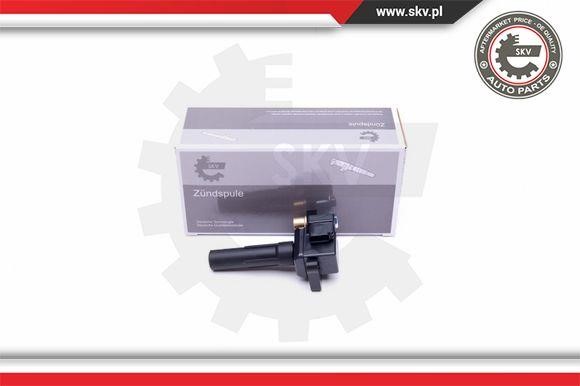 03SKV339 Esen SKV Ignition coil