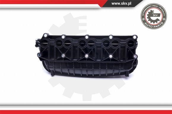 Intake Manifold Module Esen SKV 49SKV036