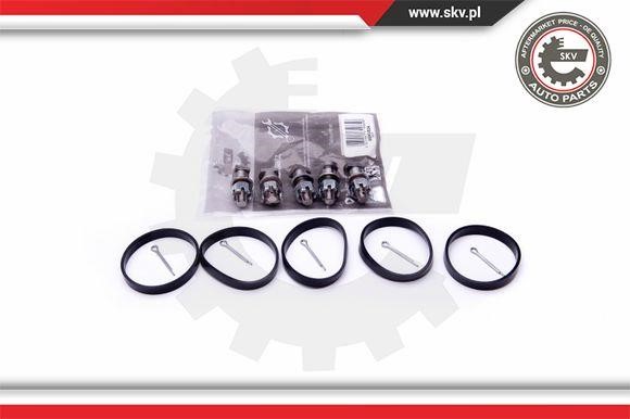 Esen SKV 49SKV524 Repair Kit, intake manifold module 49SKV524