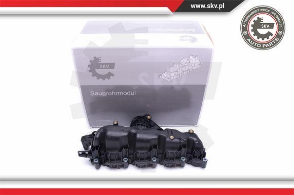 Esen SKV 49SKV007 Intake Manifold Module 49SKV007