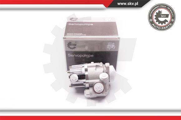 Esen SKV 1SKV0002 Hydraulic Pump, steering system 1SKV0002