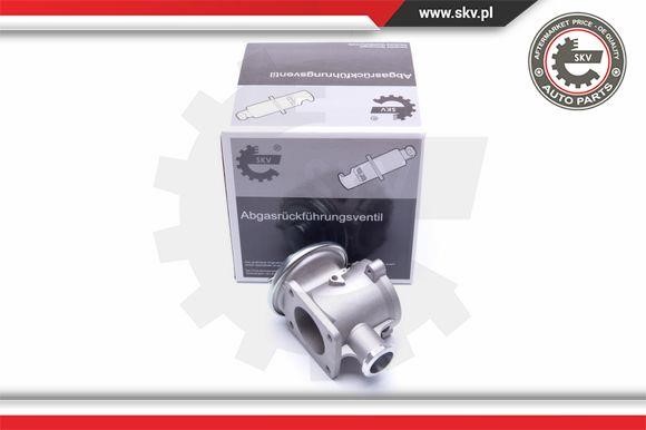 Esen SKV 14SKV178 EGR Valve 14SKV178