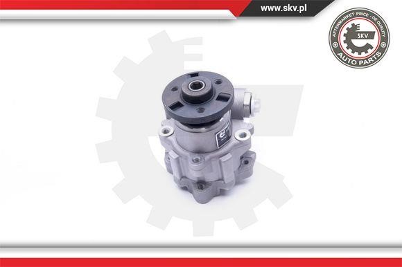 Hydraulic Pump, steering system Esen SKV 10SKV247
