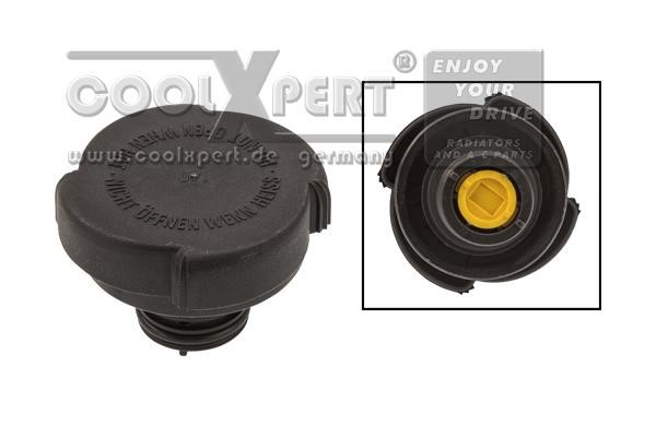 BBR Automotive 001-10-24607 Cap, coolant tank 0011024607
