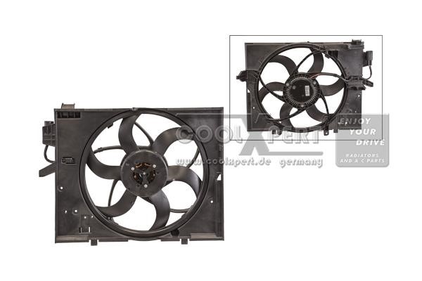 BBR Automotive 001-10-23124 Fan, radiator 0011023124