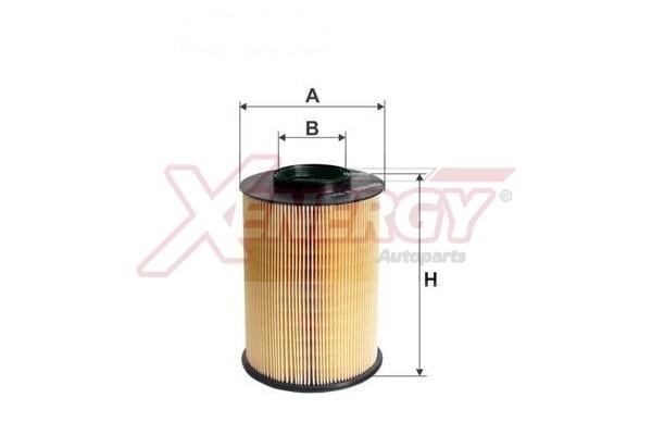 Xenergy X1593721 Air filter X1593721