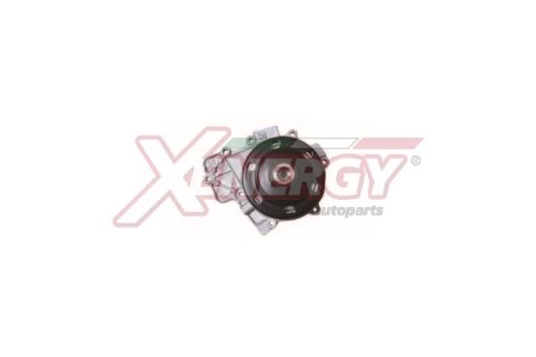 Xenergy X208082 Water pump X208082