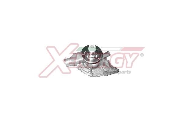 Xenergy X208069 Water pump X208069