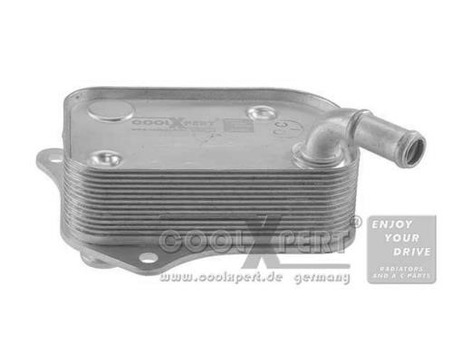 BBR Automotive 0011016894 Oil Cooler, engine oil 0011016894
