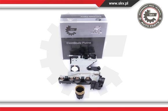 96SKV075 Esen SKV Automatic filter, kit