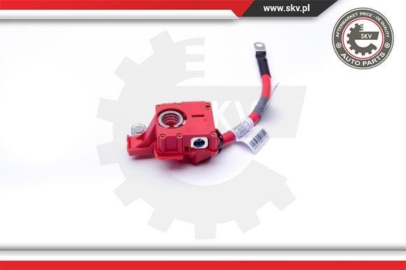 Esen SKV Battery Adapter – price 139 PLN