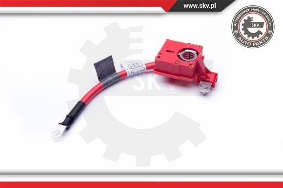 Battery Adapter Esen SKV 96SKV309