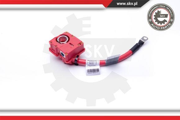 Buy Esen SKV 96SKV309 at a low price in United Arab Emirates!