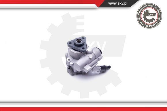 Hydraulic Pump, steering system Esen SKV 10SKV243