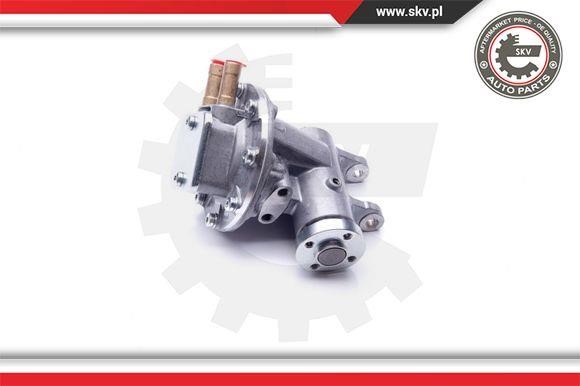Vacuum Pump Esen SKV 18SKV019