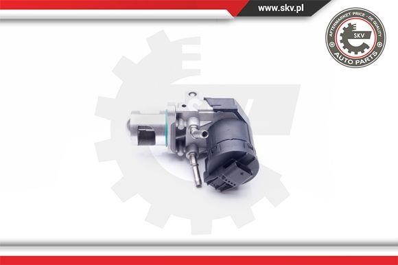 EGR Valve Esen SKV 14SKV169