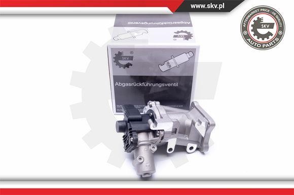 Esen SKV 14SKV171 EGR Valve 14SKV171