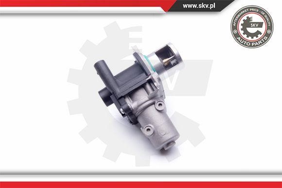 EGR Valve Esen SKV 14SKV163
