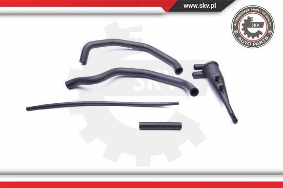 Repair Set, crankcase breather Esen SKV 31SKV102
