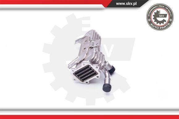 14SKV161 Esen SKV Exhaust gas cooler