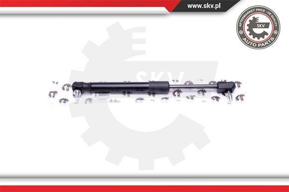 Buy Esen SKV 52SKV053 at a low price in United Arab Emirates!