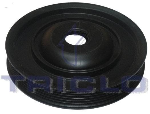Triclo 425052 Belt Pulley, crankshaft 425052