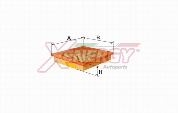 Xenergy X1590036 Air filter X1590036