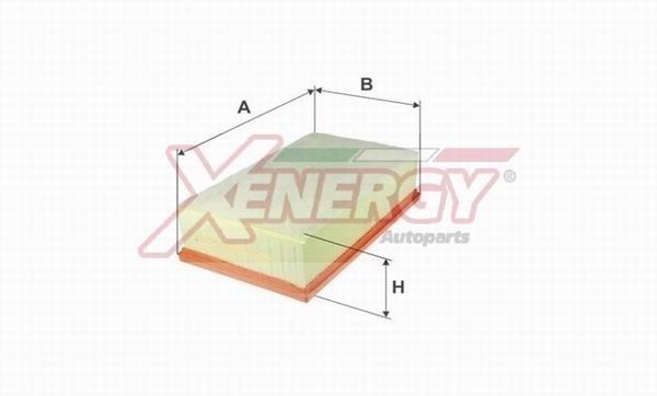 Xenergy X1591396 Air filter X1591396