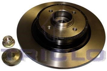 Triclo 905029 Rear brake disc, non-ventilated 905029