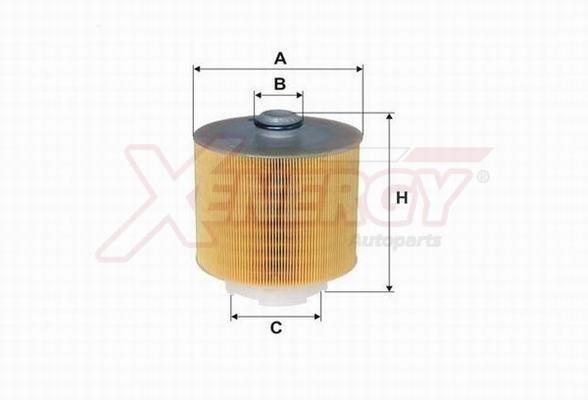 Xenergy X1593713 Air filter X1593713