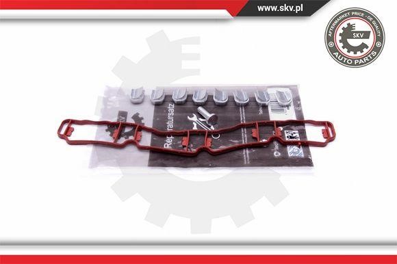 Esen SKV 49SKV510 Repair Kit, intake manifold module 49SKV510 49SKV510 Esen SKV Repair Kit, intake manifold module