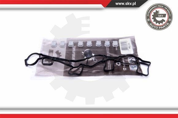 Esen SKV 49SKV515 Repair Kit, intake manifold module 49SKV515 49SKV515 Esen SKV Repair Kit, intake manifold module