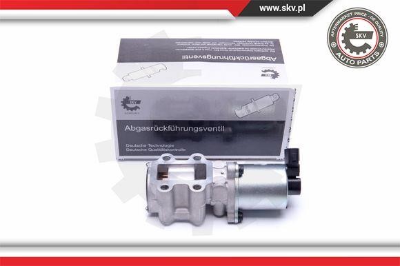 egr-valve-14skv200-49580619