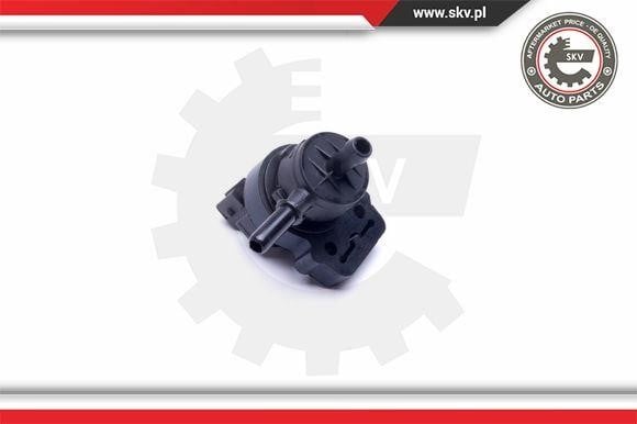 Buy Esen SKV 31SKV162 at a low price in United Arab Emirates!