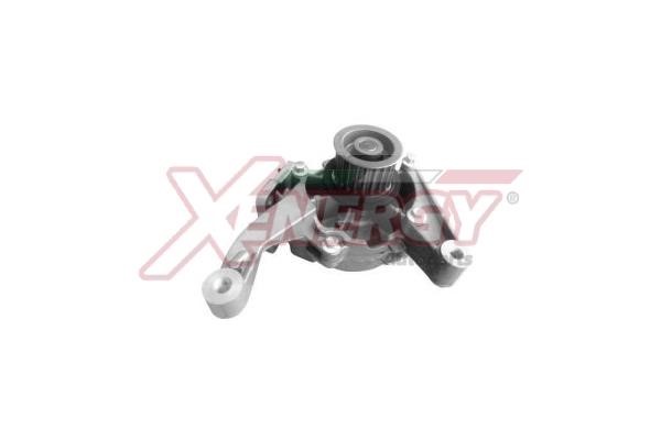 Xenergy X208061 Water pump X208061