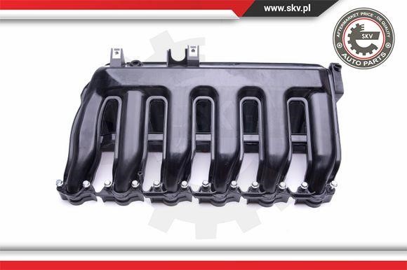 Intake Manifold Module Esen SKV 49SKV016